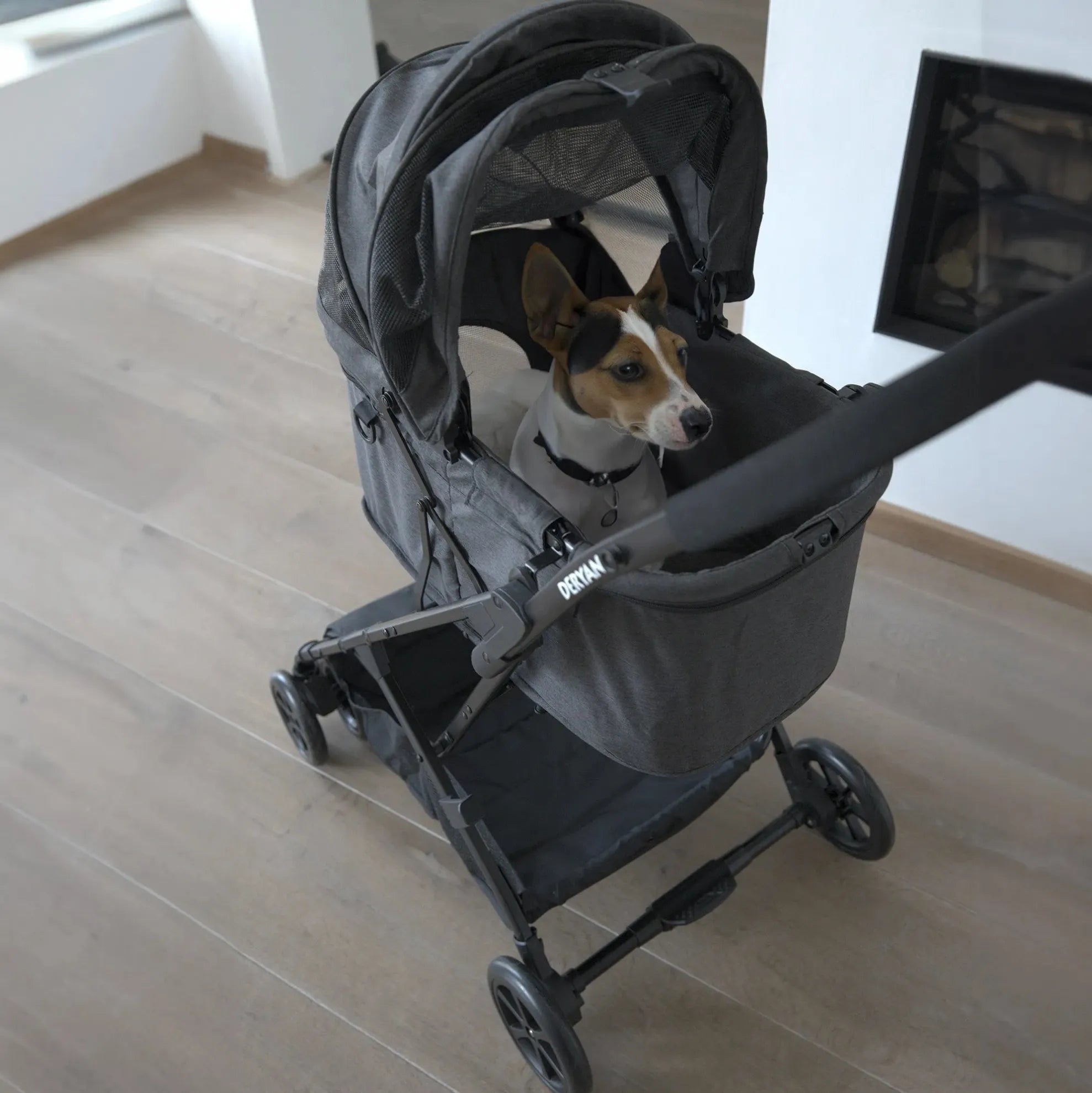 Buggy för hund